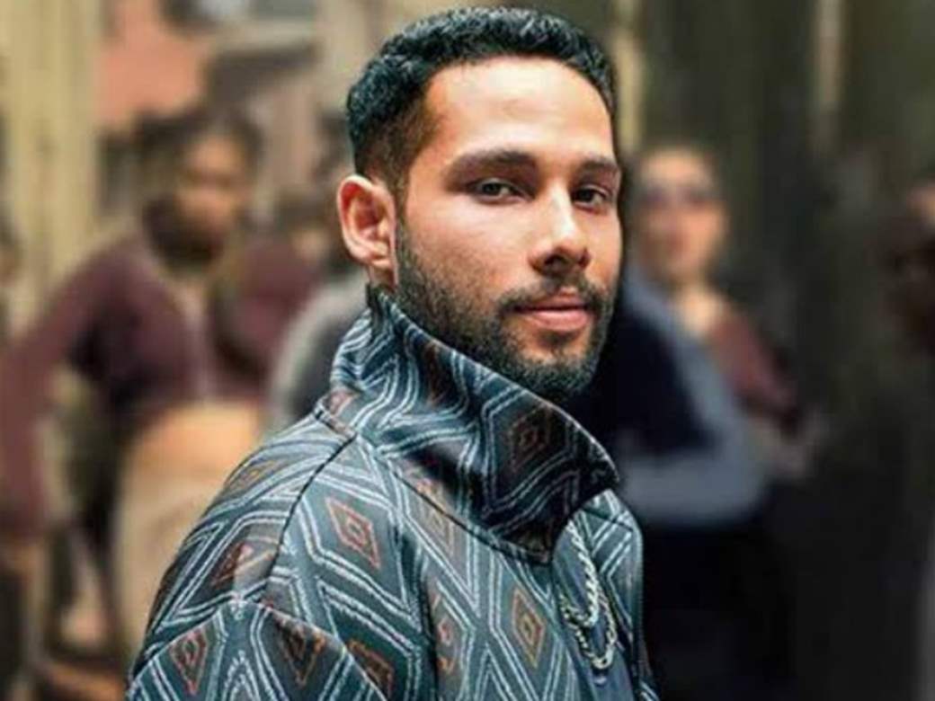 Ahead Of 'Kho Gaye Hum Kahan', A Look At Other Interesting Characters  Played By Siddhant Chaturvedi