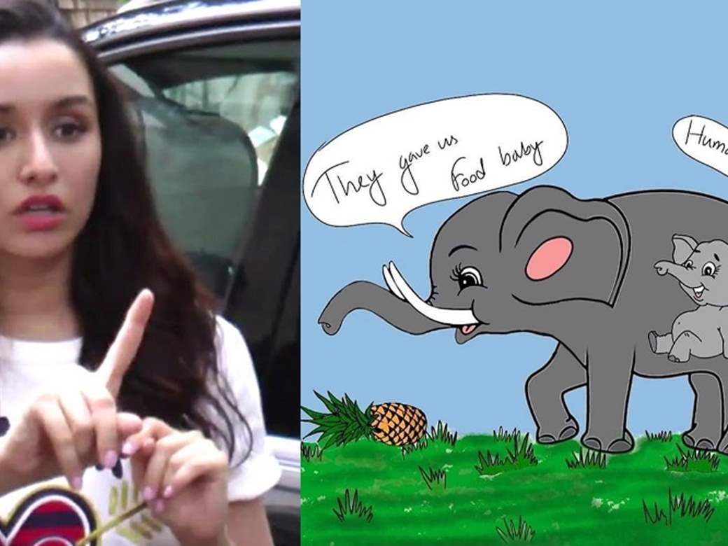 Shraddha Kapoor is Hurt, Agitated Over Pregnant Elephant Being Brutally  Killed; Demands Worst ...
