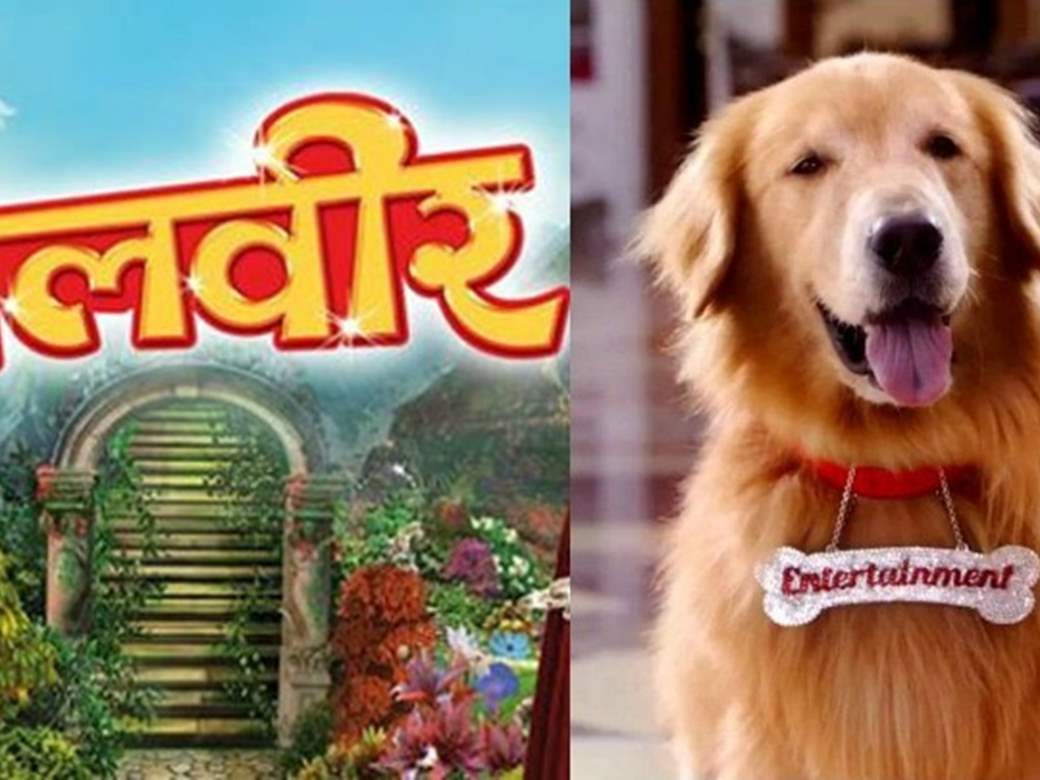 Entertainment dog to do a cameo in Baal Veer - Hindustan Times