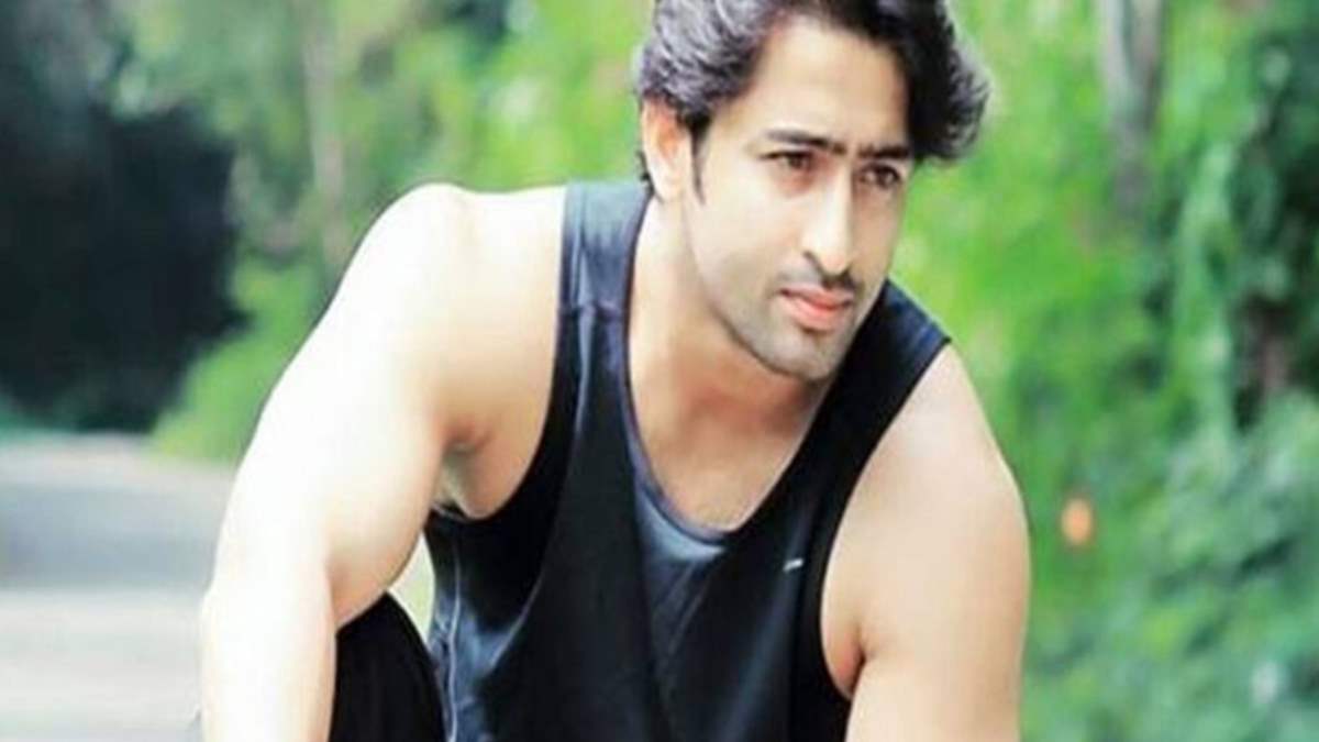 Shaheer Sheikh: My Sister Is a Doctor and I am Proud of her | India Forums