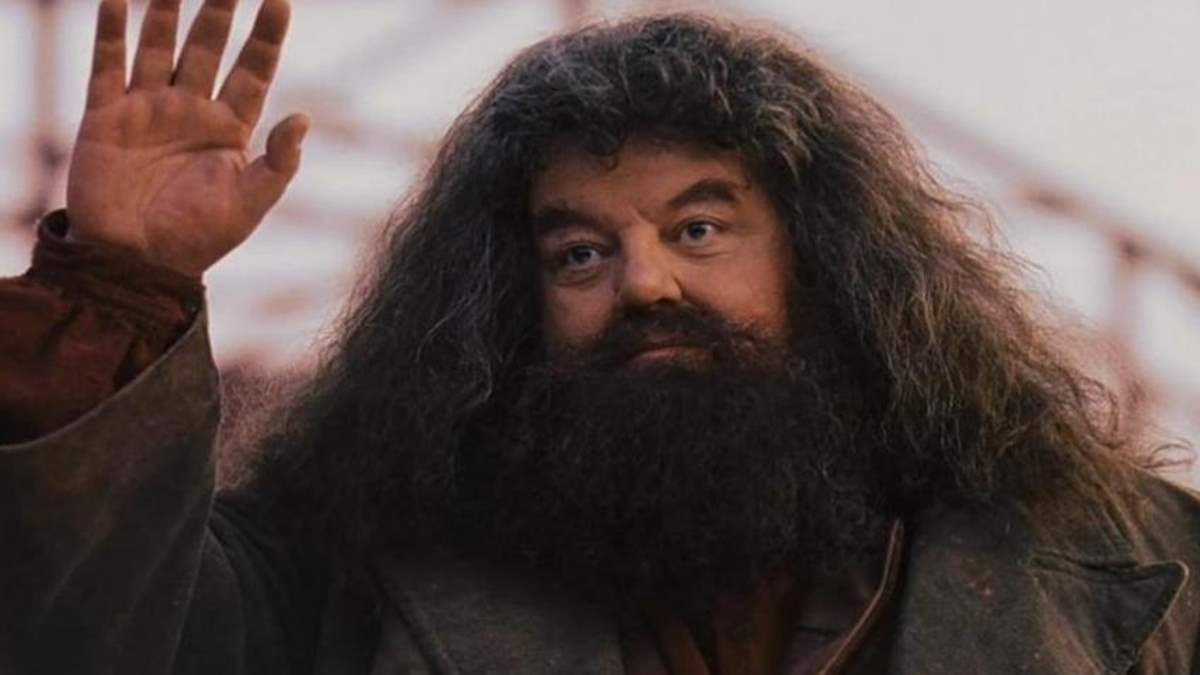 'Harry Potter' Actor Robbie Coltrane Aka Hagrid Passes Away At 72 ...