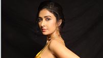 Farnaz Shetty: If a person has a clear vision and works diligently towards their goal, they should undoubtedly