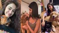 6 celeb actors and their Paw-dorable moments