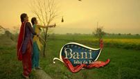 Bani - Ishq Da Kalma completes 300 episodes!