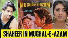 Meet the YOUNG Anarkali in the Shaheer Sheikh starrer, remake of Mughal-e-Azam