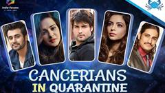 Cancer Compatibility With Quarantine: Vivian Dsena Makes The Most Of His Time At Home