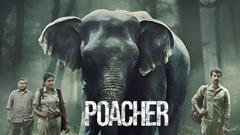 Poacher: Alia Bhatt co-produced show delves into uncovering the largest ivory poaching ring in India Thumbnail