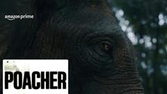 Unveiling the ruthless trade: 'Poacher' series exposes India's largest ivory ring Thumbnail