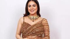  Kundali Bhagya actress Shraddha Arya Pregnant continues shooting for the show  Thumbnail