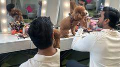 Ram Charan's pet dog Rhyme mobbed by fans - Watch Video Thumbnail