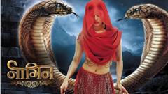 Naagin 7 expected to launch in January 2025: Report Thumbnail