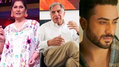 Ratan Tata passes away: From Devoleena Bhattacharjee to Aly Goni, TV celebs pay respect Thumbnail