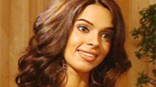 Studio 18 stalls its project with Mallika Sherawat