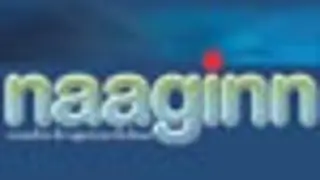 Naaginn gets an extension to one hour...