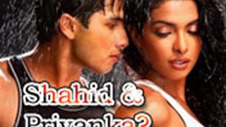 Shahid & Priyanka - The new Love Birds? Thumbnail