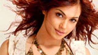 Eesha Koppikhar to shoot item number before wedding