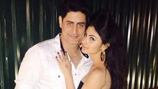 What is the one IMPORTANT thing that binds Mohit Raina and Mouni Roy TOGETHER?