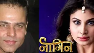 Next in line: Anky 2 gets 'KILLED' in Naagin 2! Thumbnail