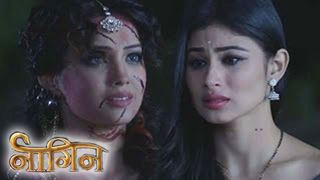 OMG! Shesha and Shivangi 'UNITE' to fight evil in Naagin 2! Thumbnail