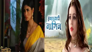 WHAAT?? Now a 'Naagin' will turn into a human! thumbnail