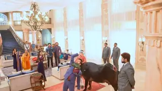 #KuchBhi: Bizarre TV moments that will make you rack your brains!!! Thumbnail