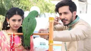 This 'Ghulaam' actor is Anti-Social? Thumbnail