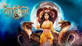 New ENTRY In Colors' Naagin 2!