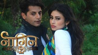 Revealed: Here's how Naagin 2 will come to an end!