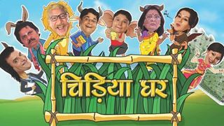 Meet the 'post-time skip' cast of 'Chidiyaghar'!