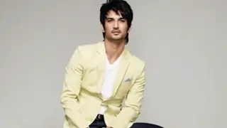 I won't play myself on-screen: Sushant Thumbnail
