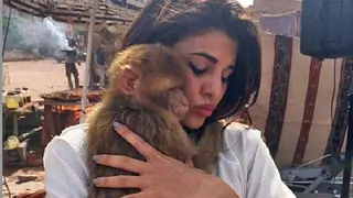 Jacqueline signed a petition for a GLOBAL BAN on animal testing Thumbnail