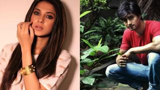 Harshad Chopra to make a COMEBACK with Jennifer Winget in an upcoming show?