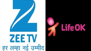 Zee TV's LEAD actress bags an upcoming show on Life OK!