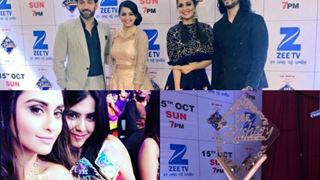 'Ishqbaaaz', 'Naagin' and 'Tenali Rama' get a SPECIAL award at the Zee Rishtey Awards 2017!