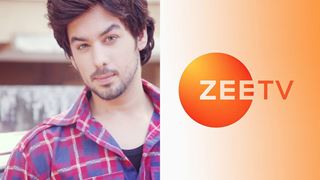 Manish Goplani RETURNS to small screen with Zee TV's upcoming show!