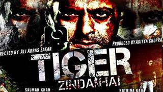 Movie Review : Tiger Zinda Hai
