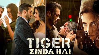 Salman Khan is BACK with a BANG: Tiger Zinda Hai Movie Review