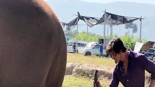 Junglee actor Vidyut Jammwal celebrates Christmas with his new Buddy