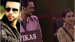 This is what Aamir Ali has to say about Hina and Vikas's budding friendship!