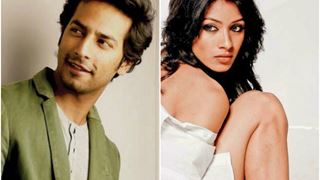 Barkha Bisht and Sehban Azim to feature in a music video!
