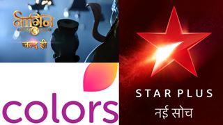 It's CONFIRMED! Ekta Kapoor's 'Naagin 3' to air on Colors and not Star Plus