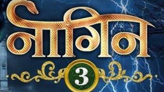 Guess Who Is The Newest Antagonist In Naagin 3?