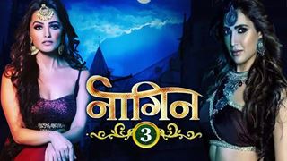 #REVEALED: Here's the entire plot of 'Naagin 3'