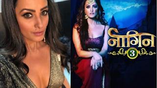 This is what is bothering Anita Hassanandani about her character in Naagin 3! Thumbnail