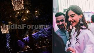 The Kapoor house is decorated; Preparations for Sonam's wedding Begins