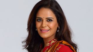 Mona Singh to be seen in THIS Zee TV show...