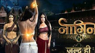 Ekta Kapoor is all set to make the Veeres and the Naagins meet in 'Naagin 3'