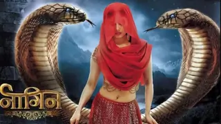 'Naagin' actress to be a part of this Sony TV show post leap! Thumbnail