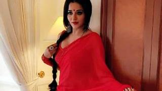 Didn't wish to do fiction TV shows: Monalisa