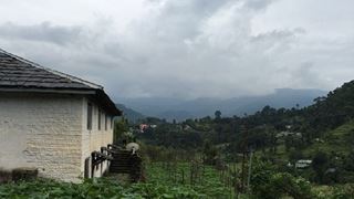 Yami planning on an greenhouse in her Himachal home thumbnail